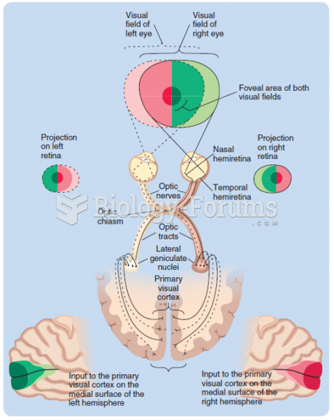 The retina-geniculate-striate system: the neural projections from the retinas through the lateral ...