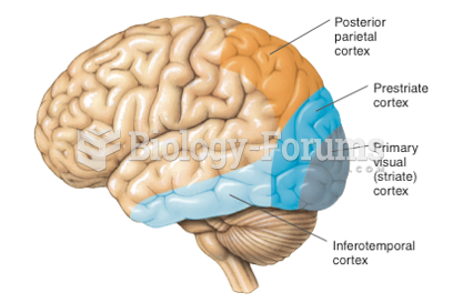 The visual areas of the human cerebral cortex.