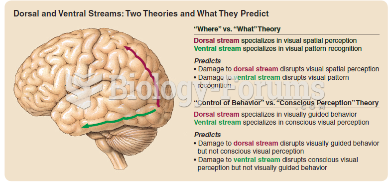 The “where” versus “what” and the “control of behavior” versus “conscious ...