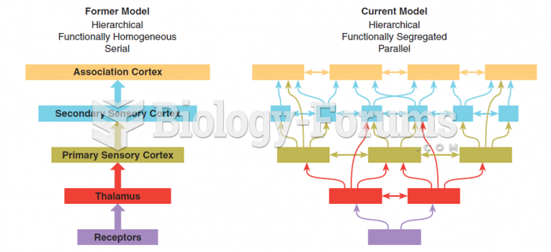 Two models of sensory system organization: The former model was hierarchical, functionally ...