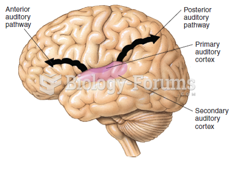 The hypothesized anterior and posterior auditory pathways.