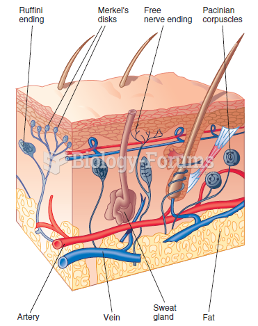 Four cutaneous receptors that occur in human skin.