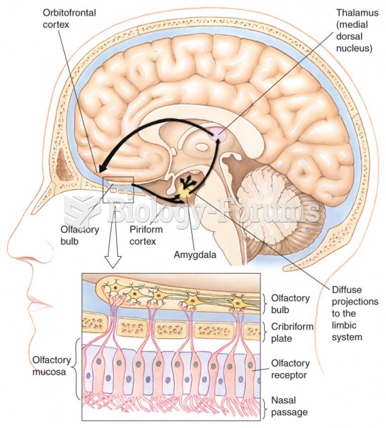 The human olfactory system.