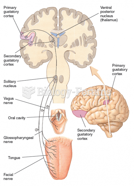 The human gustatory system.