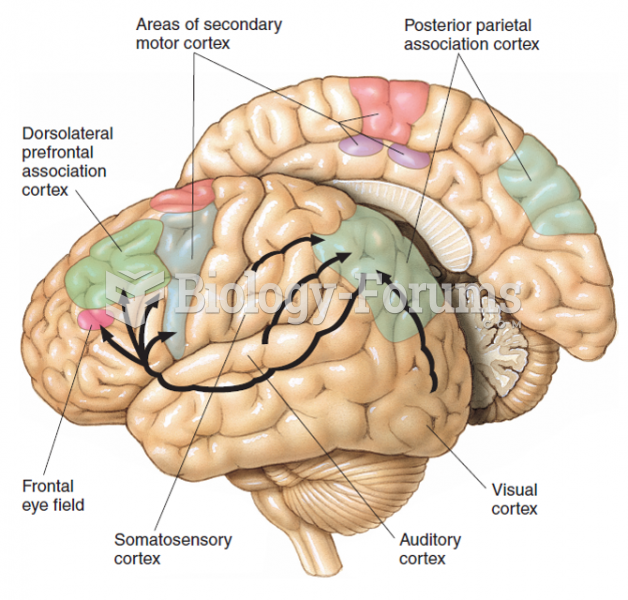 The major cortical input and output pathways of the posterior parietal association cortex. Shown are ...
