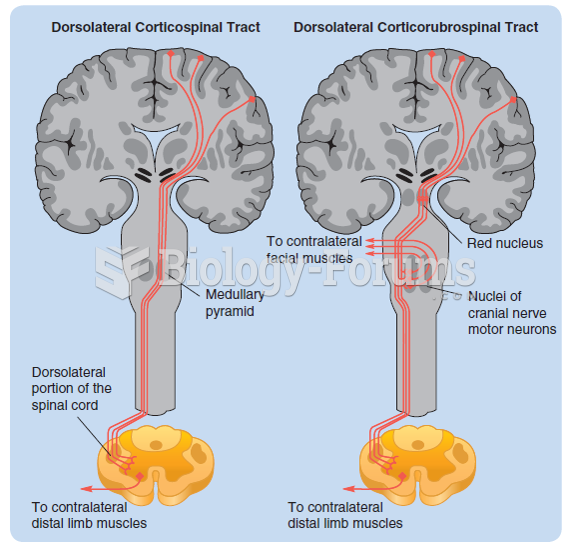 The two divisions of the dorsolateral motor pathway: the dorsolateral corticospinal tract and the ...