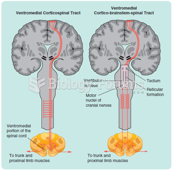 The two divisions of the ventromedial motor pathway: the ventromedial corticospinal tract and the ...