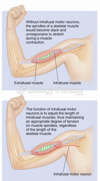 The function of the intrafusal motor neurons. 