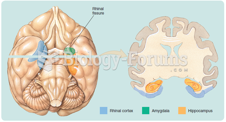 The three major structures of the medial temporal lobe, illustrated in the monkey brain: the ...