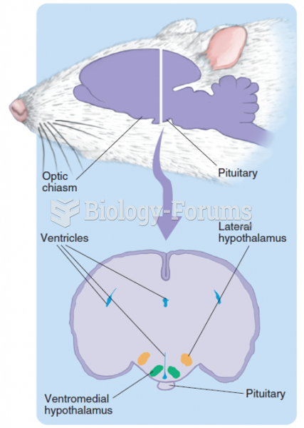 The locations in the rat brain of the ventromedial hypothalamus and the lateral hypothalamus.