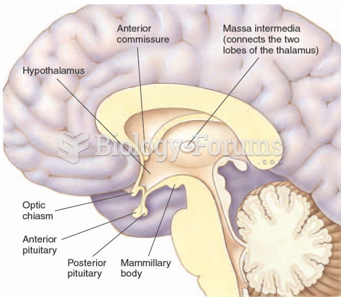 A midline view of the posterior and anterior pituitary and surrounding structures.