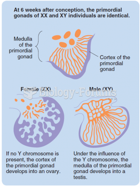 The development of an ovary and a testis from the cortex and the medulla, respectively, of the ...
