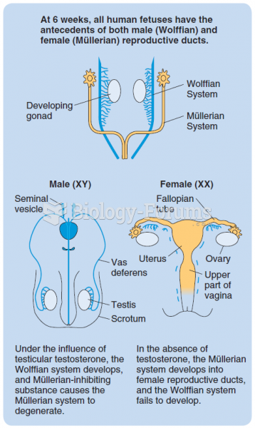 The development of the internal ducts of the male and female reproductive systems from the Wolffian ...