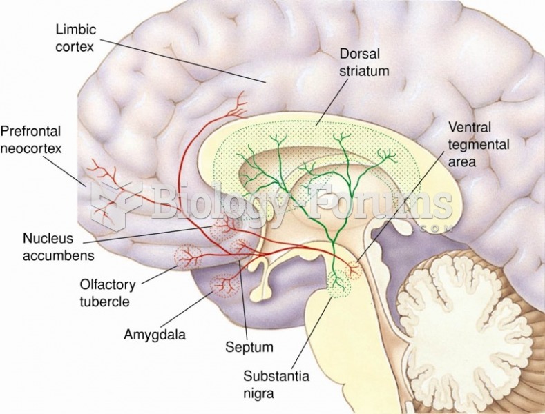 The mesotelencephalic dopamine system in the human brain, consisting of the nigrostriatal pathway ...