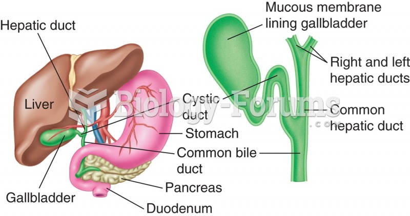 Bile duct system of the liver and gallbladder.