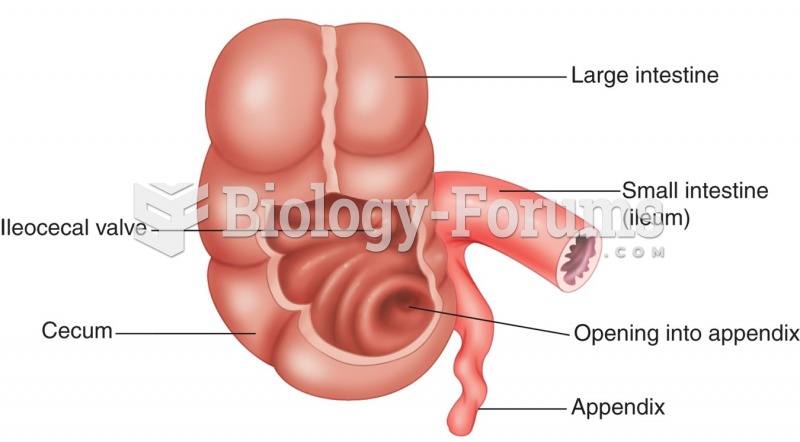 Appendix attached to cecum into which the small intestine empties.