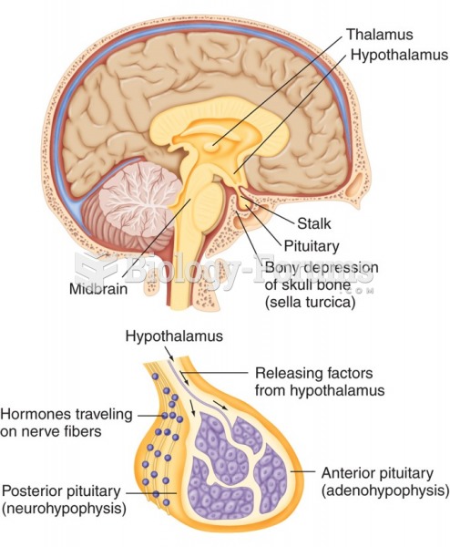 The pituitary gland.