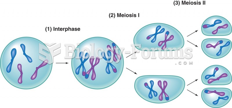 Meiosis involves two complete divisional operations forming four potential sex cells.