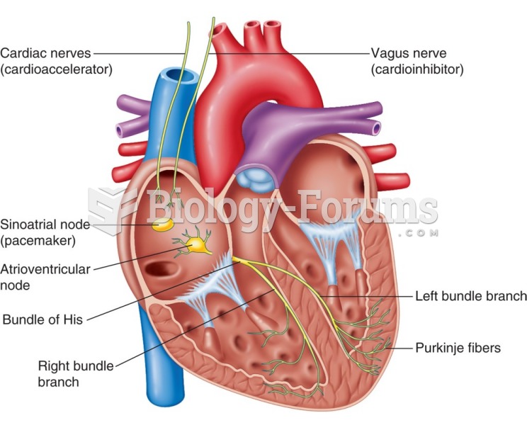 Conducting system of the heart.