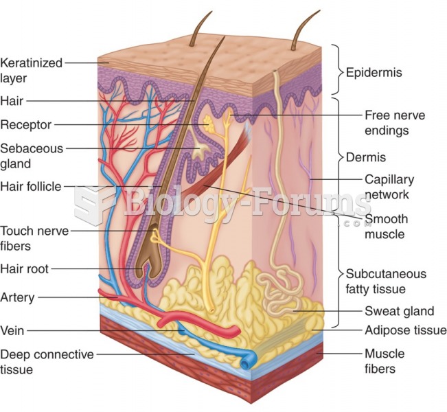 Structure of the skin.