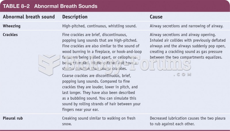Abnormal Breath Sounds 