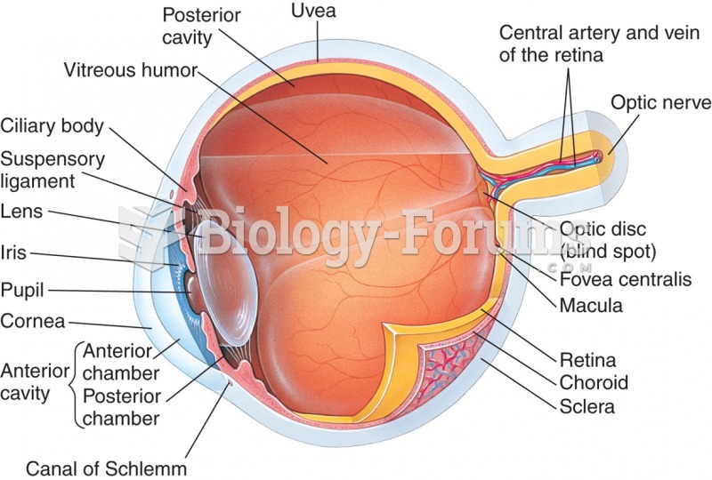 Human eye anatomy.