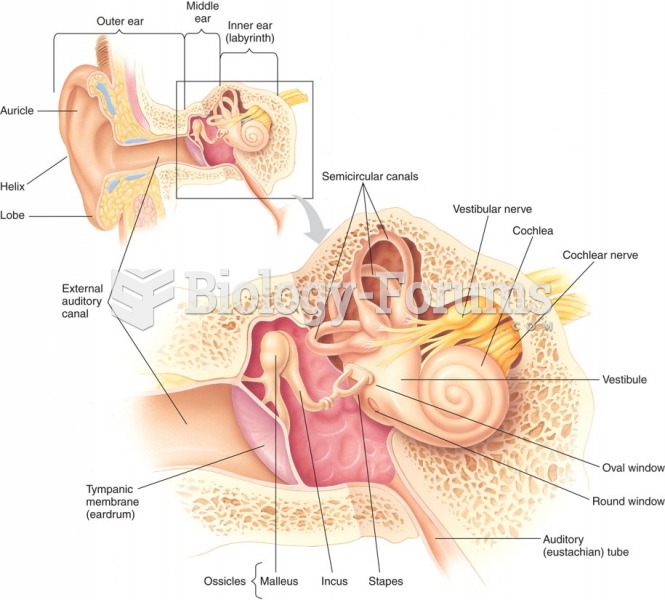 Human ear anatomy. 