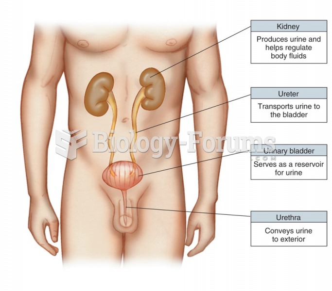 The urinary system.