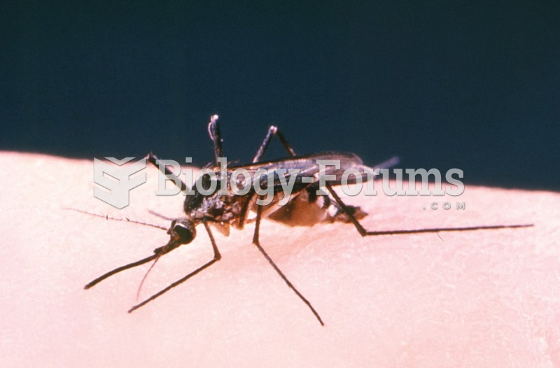Aedes mosquito, the vector for West Nile virus encephalitis. 