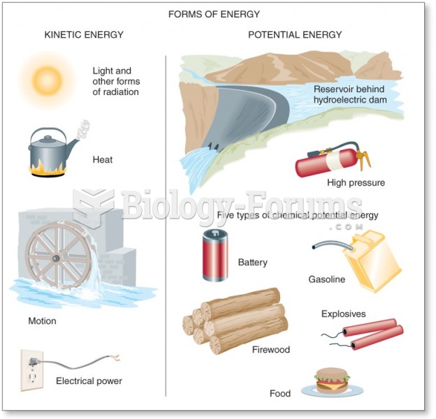 Kinetic versus Potential Energy