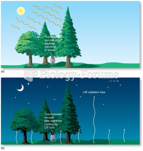 Daily and Annual Temperature Patterns