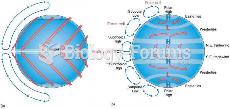 Single-Cell Model