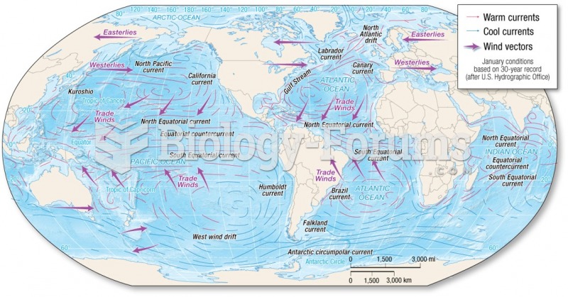 The North and South Equatorial Currents