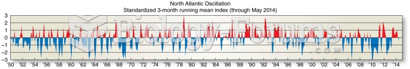 Arctic Oscillation and North Atlantic Oscillation