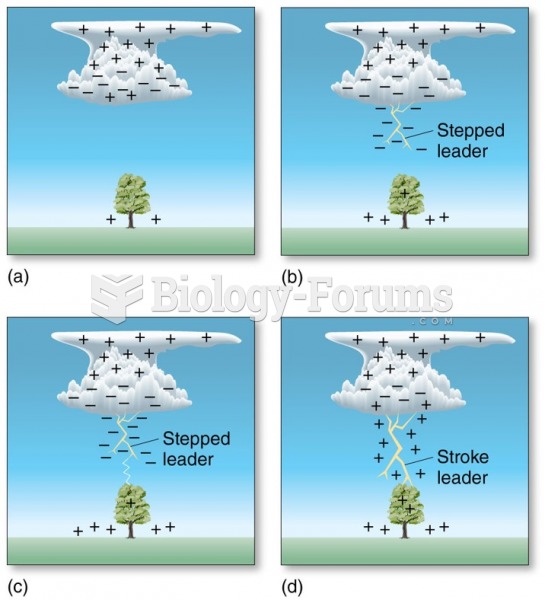 Processes of Lightning Formation: Charge Separation