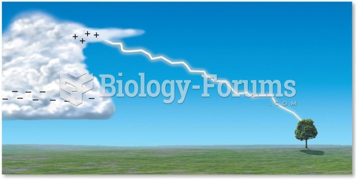 Processes of Lightning Formation: Leaders, Strokes, and Flashes