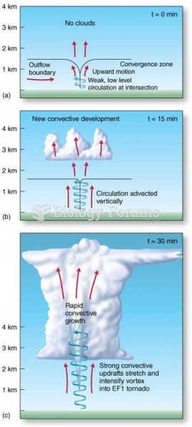 Tornado Formation: Nonsupercell Tornado Development