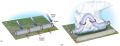Tornado Formation: Supercell Tornado Development
