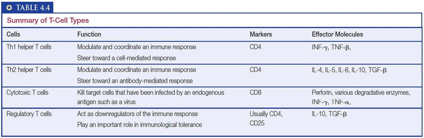 Summary of T-Cell Types