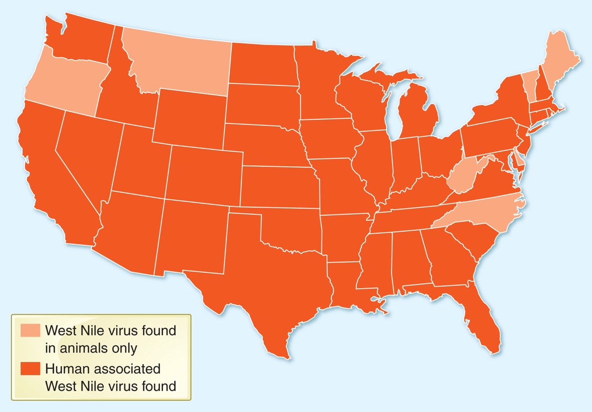 Map depicting the 2010 West Nile virus infections.