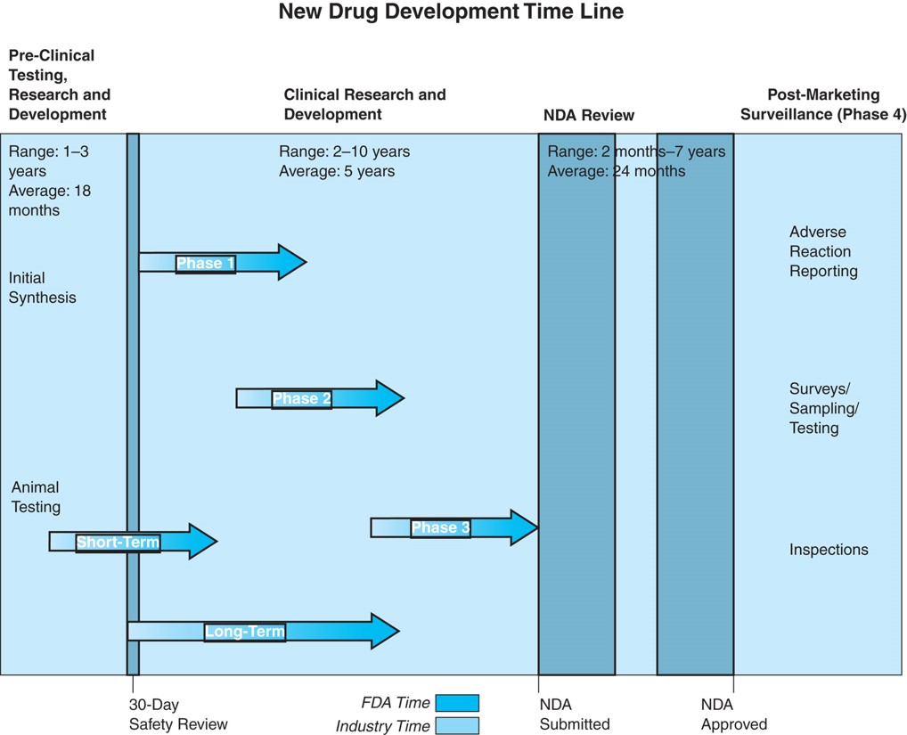 A new drug development time line with the four phases of drug approval.