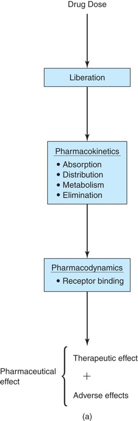 Generalized scheme showing the contribution of absorption, distribution, metabolism, elimination, ...