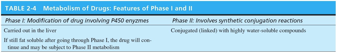 Metabolism of Drugs: Features of Phase I and II 