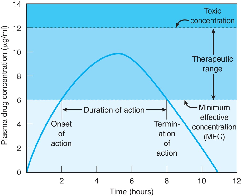 Graph showing oral administration of a single-dose drug. The time of onset is 2 hours and the end of ...