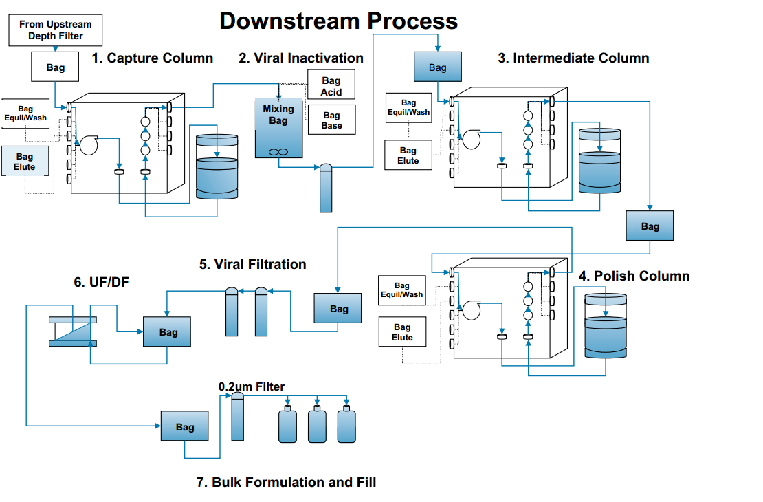 Downstream Process - Inoculum Preparation & Expansion