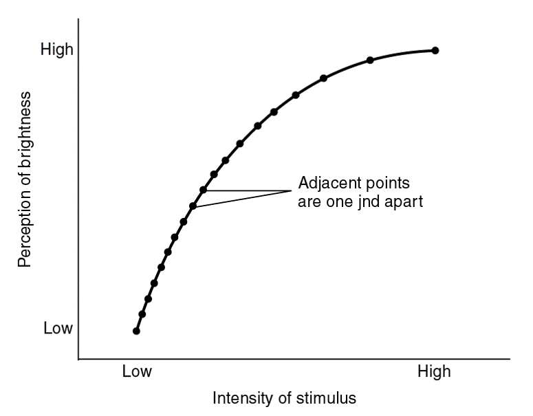 Hypothetical Range of Perceived Brightness (in jnds) as a Function of Intensity