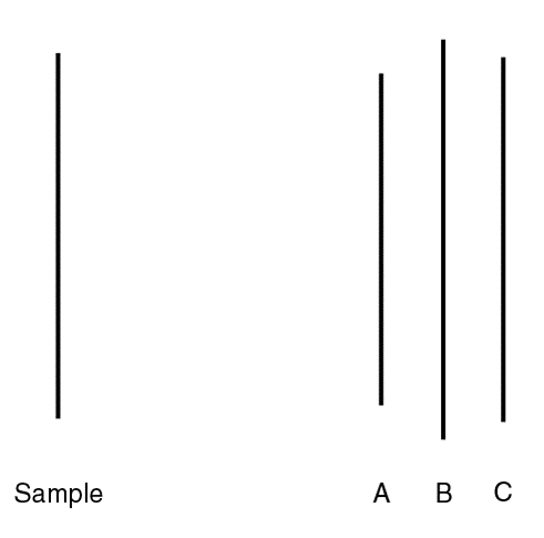 An Example of the Stimuli Used by Asch (1951)