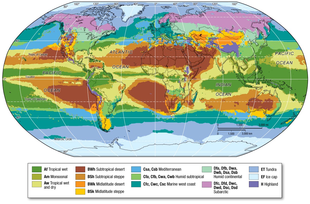 The Koeppen System