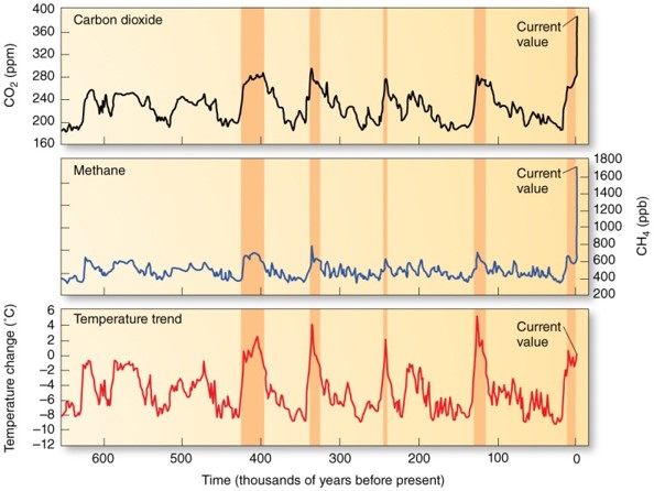 Ice Cores