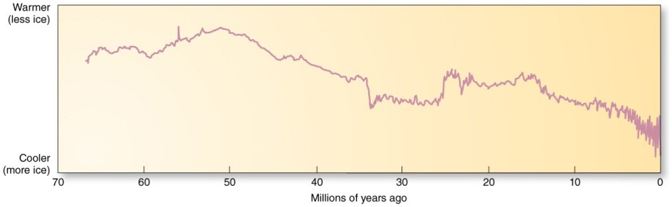 The Pleistocene